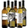 3 verschiedene feine Weißweine Mallorca